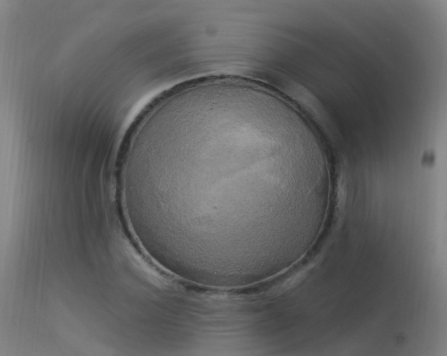 X0000114180924200910151657