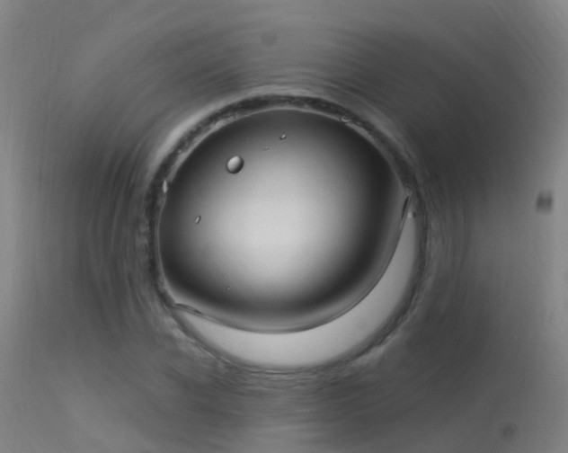 X0000114180926200910151657