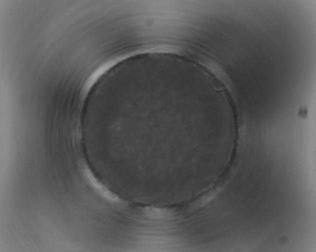 X0000114180928200910151657
