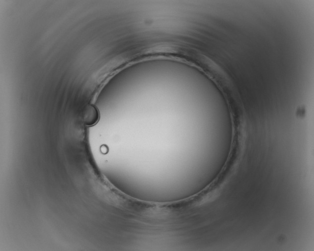 X0000114180929200910151657