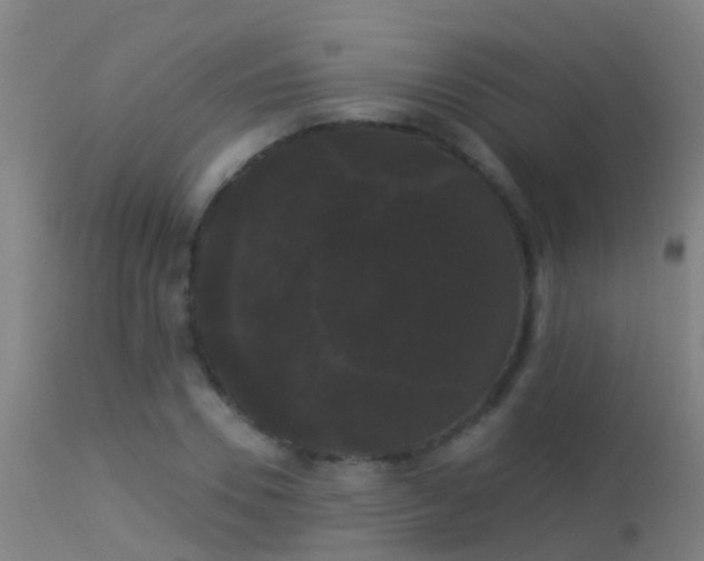 X0000114180930200910151657