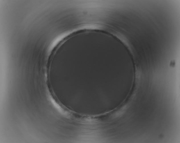 X0000114180935200910151657
