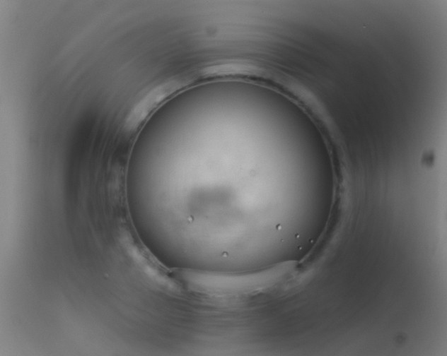 X0000114180937200910151657