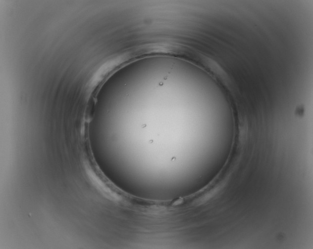 X0000114180938200910151657