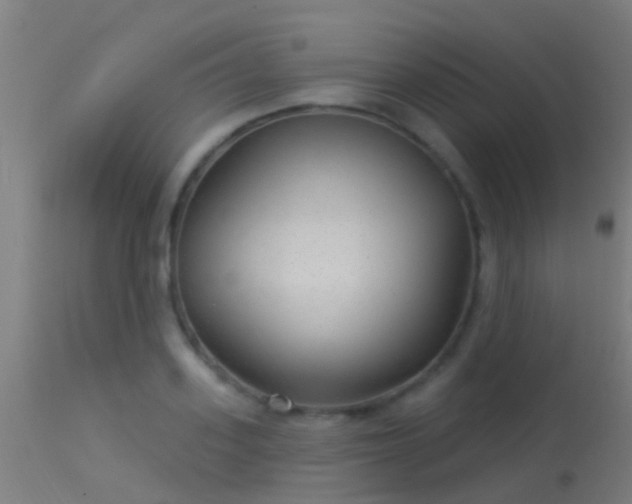 X0000114180939200910151657