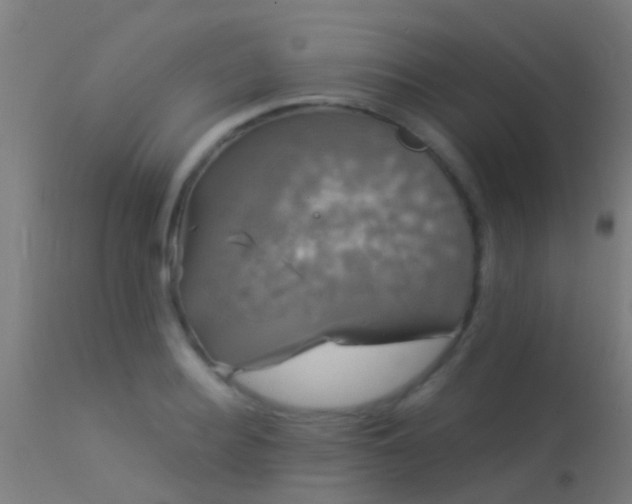 X0000114180940200910151657