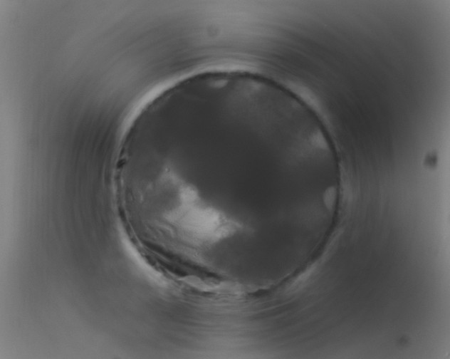 X0000114180943200910151657