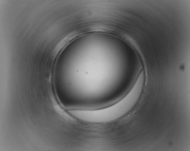 X0000114180946200910151657