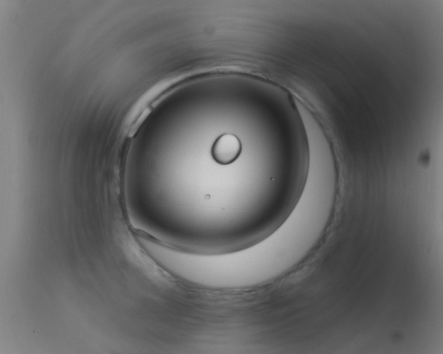 X0000114180948200910151657