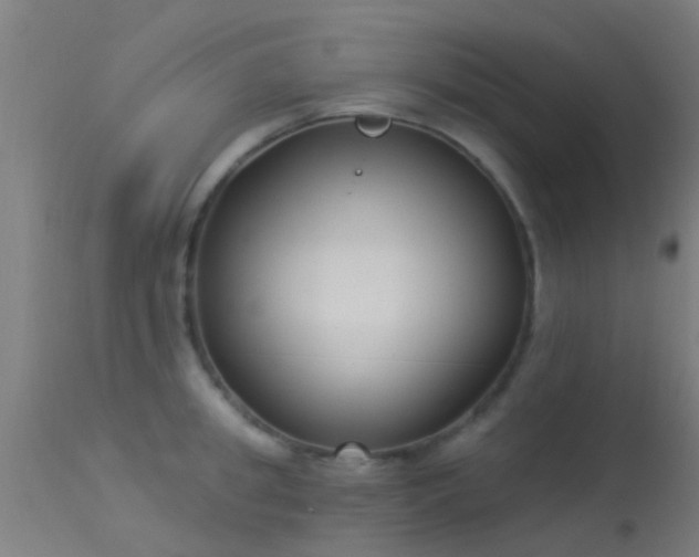X0000114180949200910151657