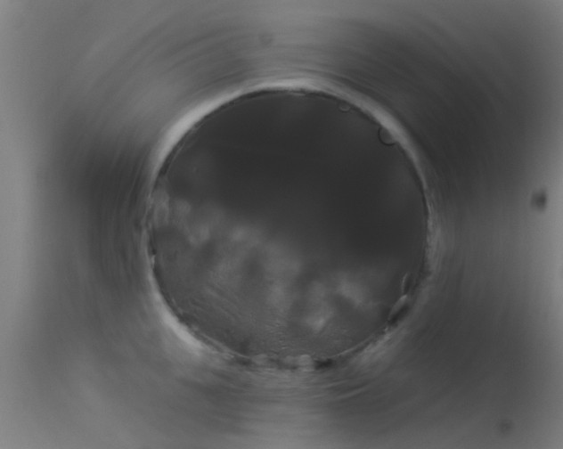 X0000114180951200910151657