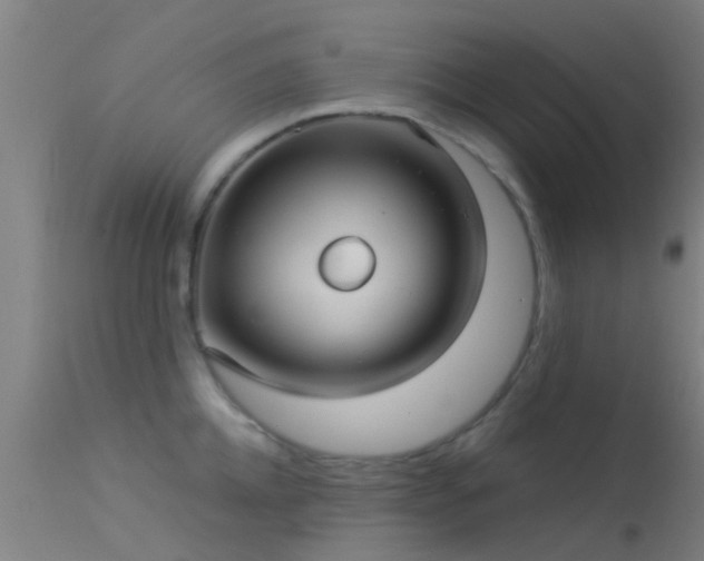 X0000114180952200910151657