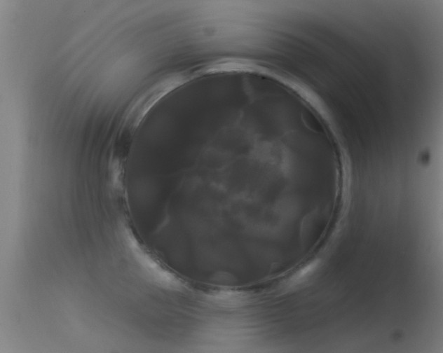 X0000114180953200910151657