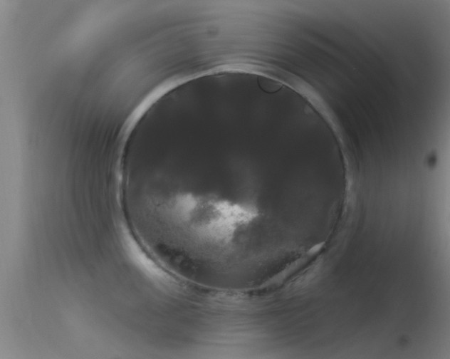 X0000114180955200910151657