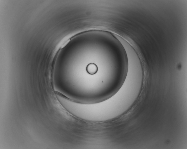 X0000114180956200910151657