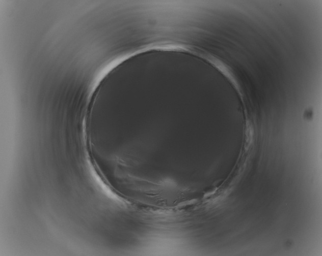 X0000114180959200910151657