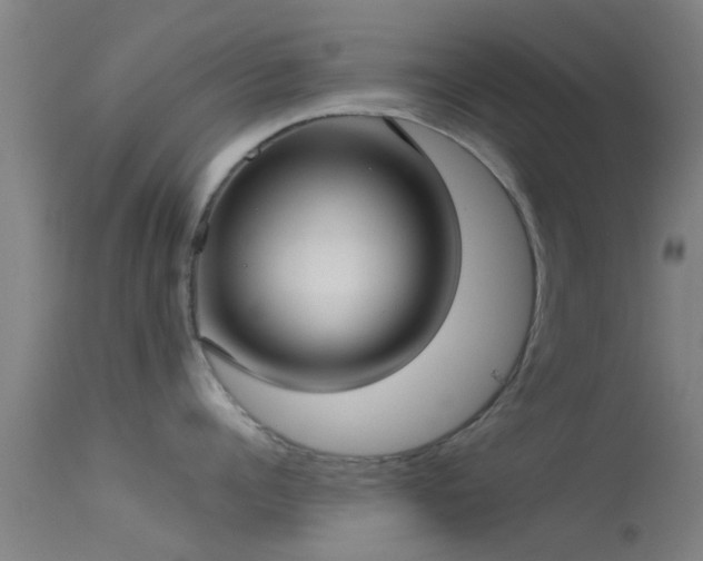 X0000114180960200910151657