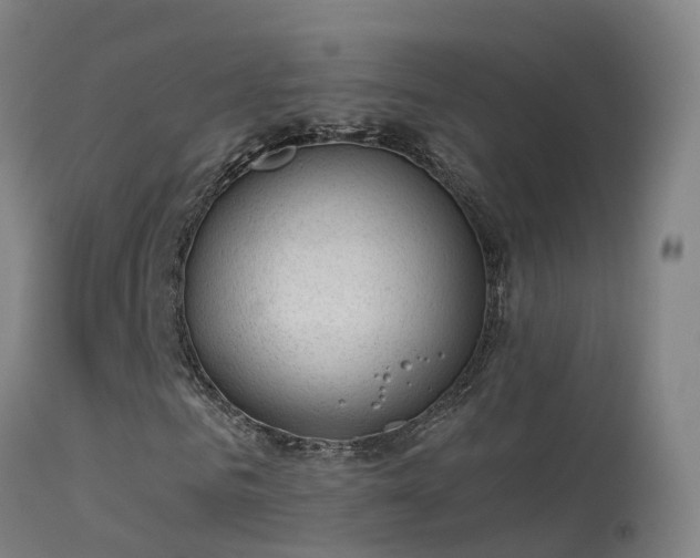 X0000114180961200910151656
