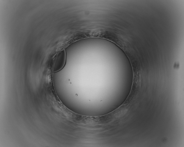 X0000114180962200910151656