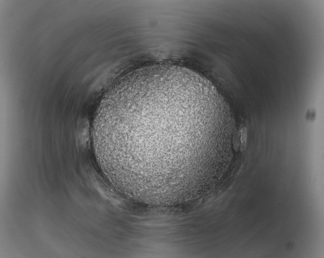 X0000114180963200910151656
