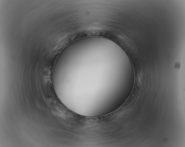 X0000114180964200910151656