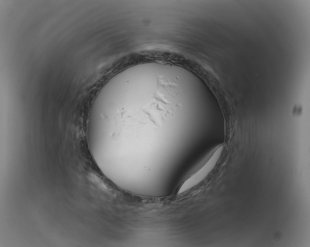 X0000114180965200910151656