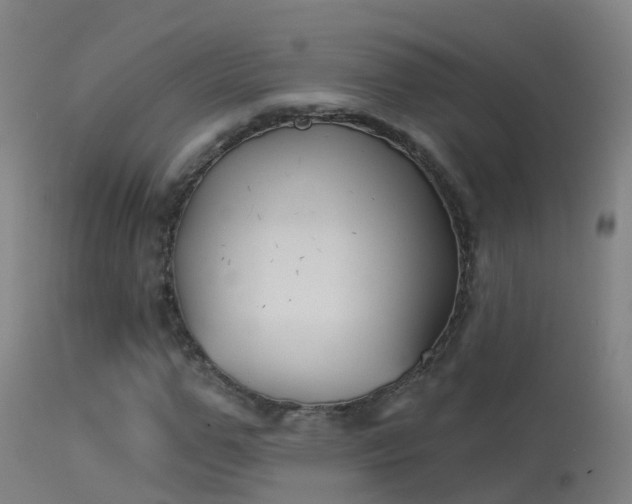 X0000114180967200910151656