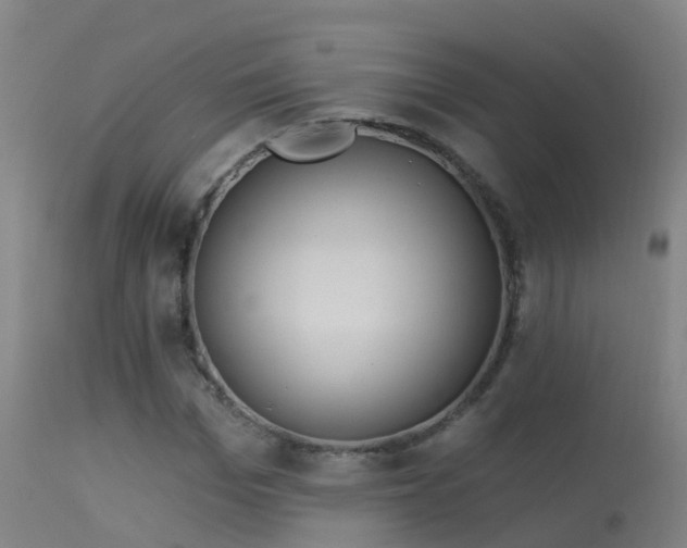 X0000114180969200910151656