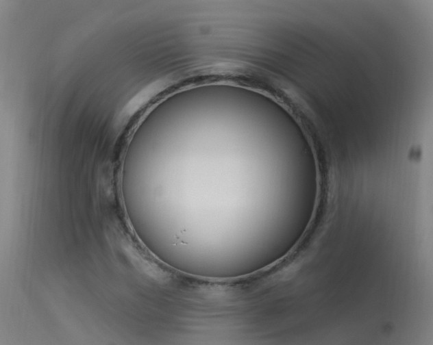 X0000114180970200910151656