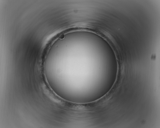 X0000114180971200910151656