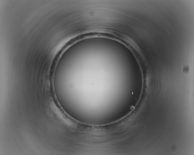 X0000114180972200910151656