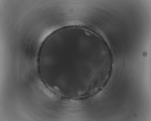X0000114180975200910151656