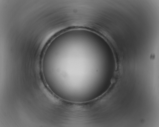 X0000114180976200910151656