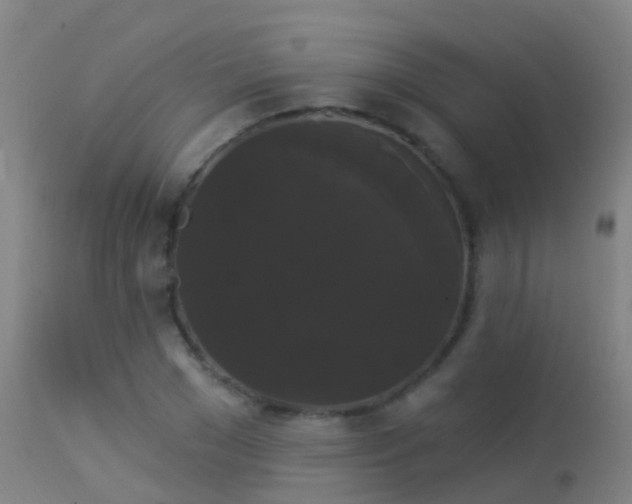 X0000114180977200910151656