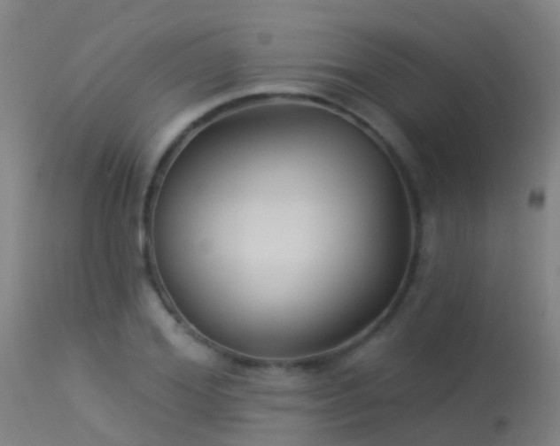 X0000114180980200910151656