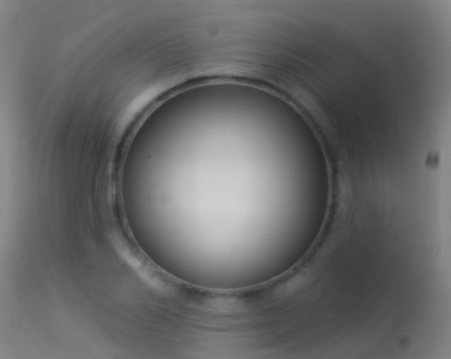 X0000114180982200910151656