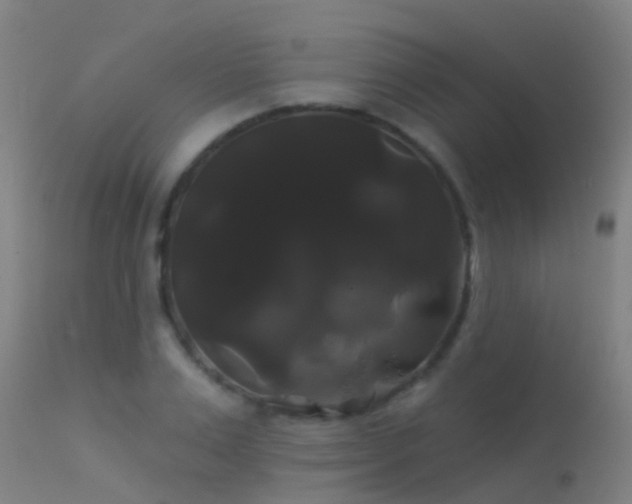 X0000114180983200910151656
