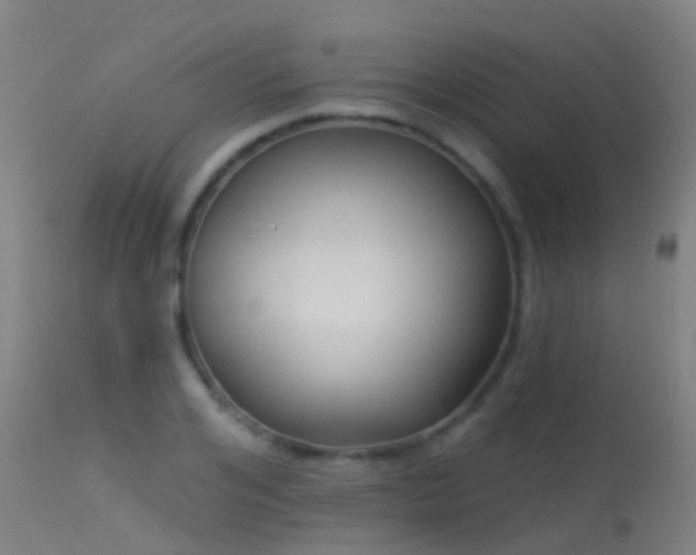 X0000114180984200910151656