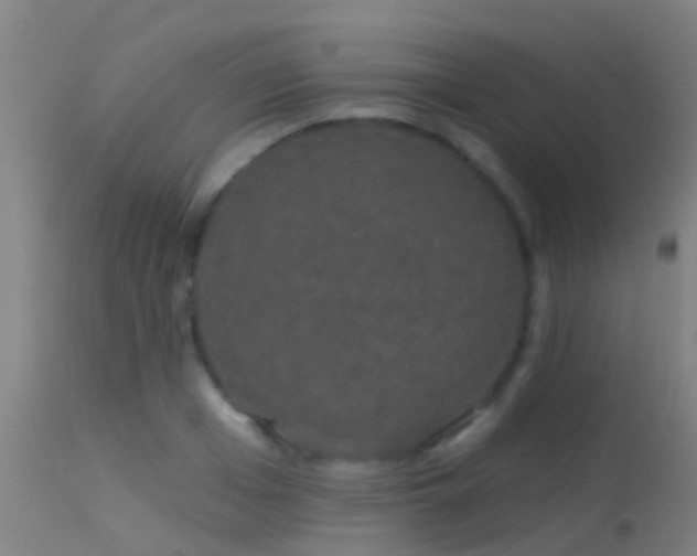 X0000114180985200910151656