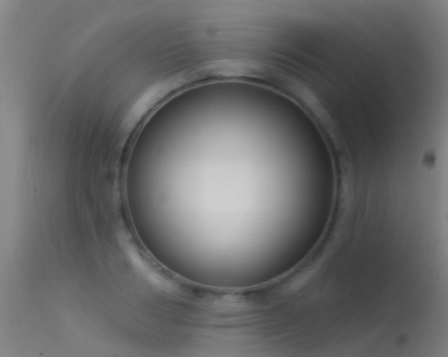 X0000114180986200910151656