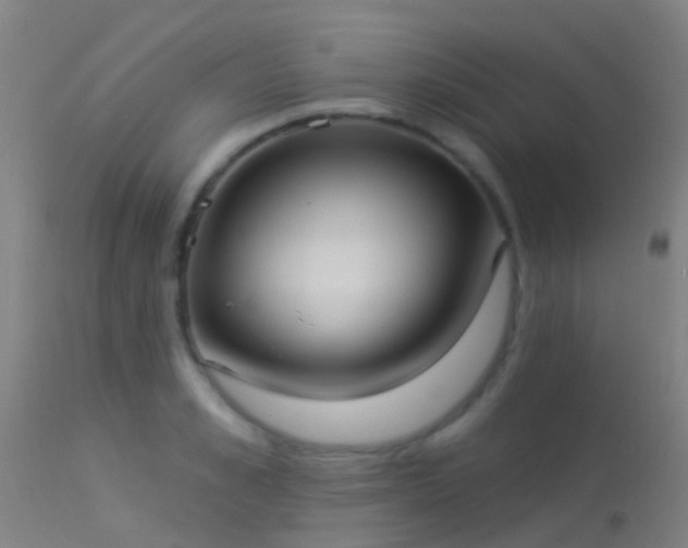 X0000114180989200910151656