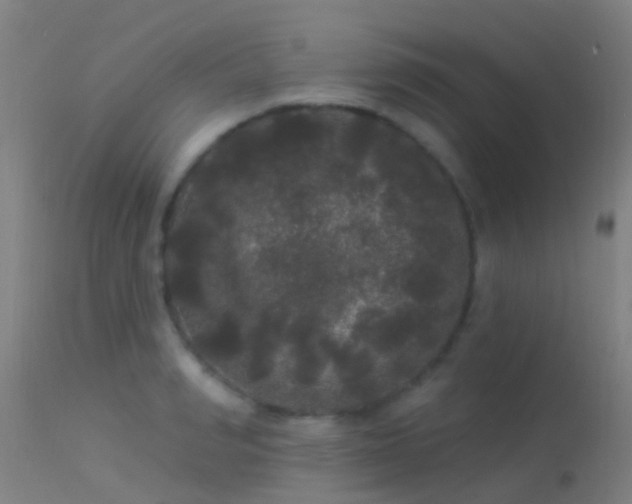 X0000114180990200910151656