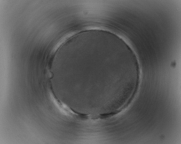 X0000114180993200910151656