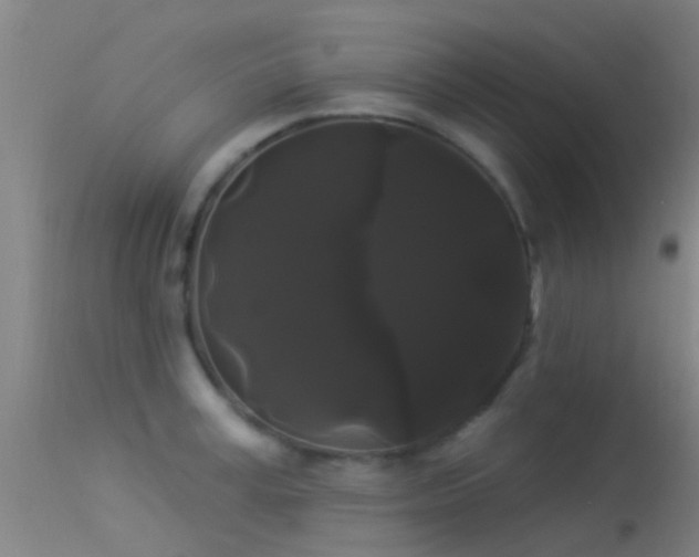 X0000114180995200910151656