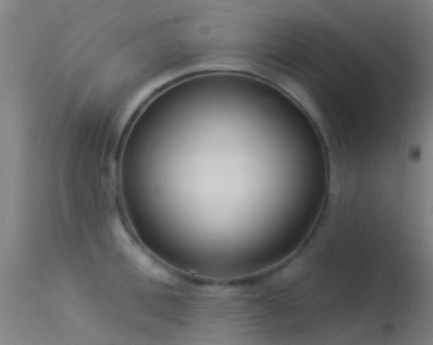 X0000114180996200910151656