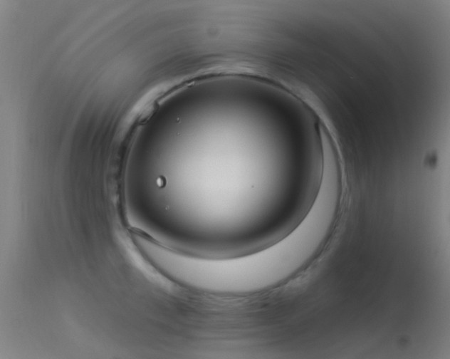 X0000114180997200910151656