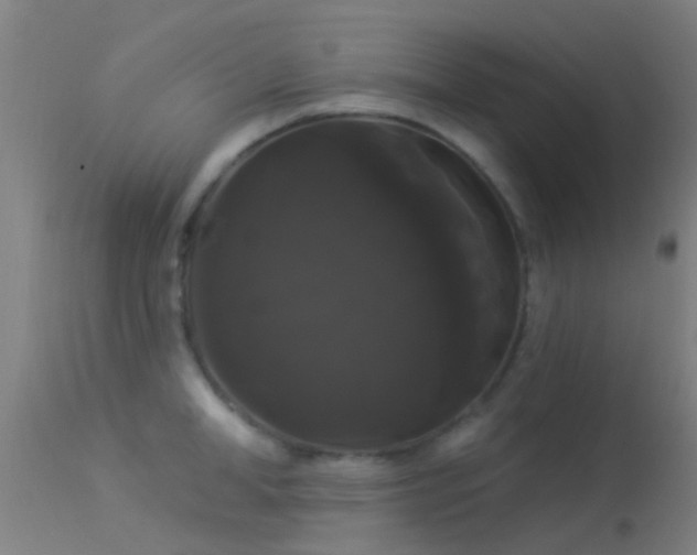 X0000114180998200910151656