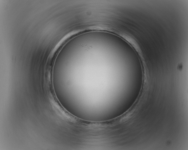 X0000114181000200910151656