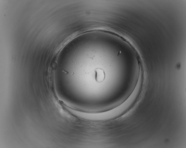 X0000114181001200910151656