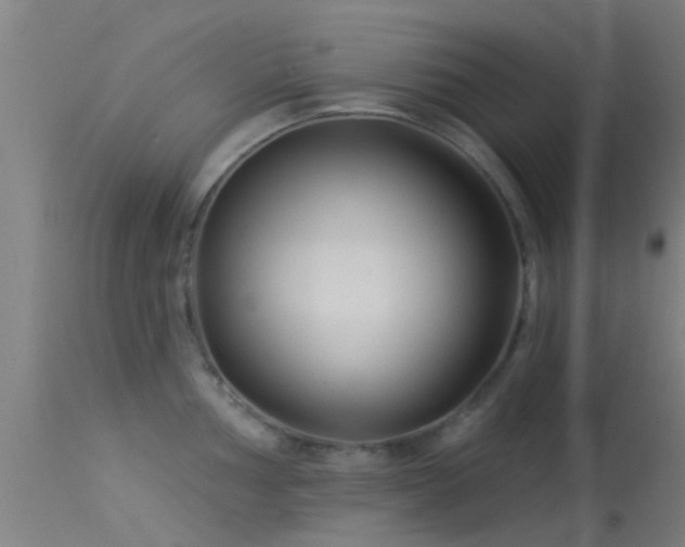 X0000114181002200910151655